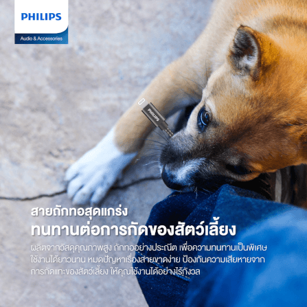สายชาร์จ PHILIPS รุ่น DLC5030V/00 USB-A TO LIGHTNING สีดำ_1